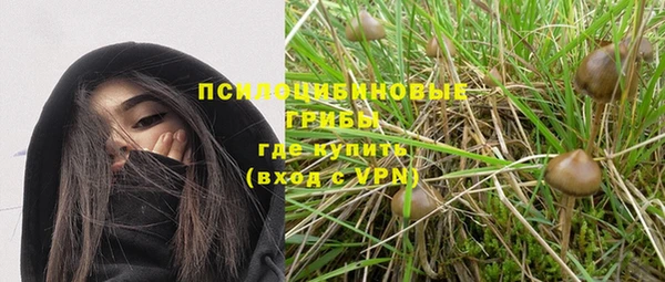стафф Балабаново