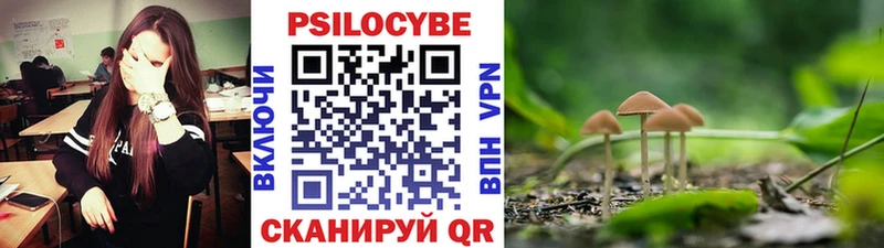 Галлюциногенные грибы прущие грибы  Бабушкин 
